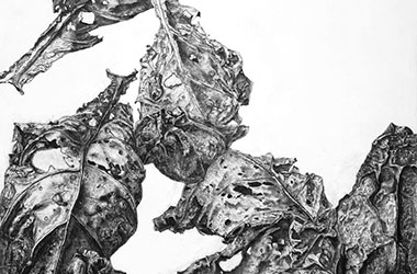 Fallen Leaves - overlapping drawing - Singapore art class and arts scene. Beautiful artwork by Singapore contemporary artist
