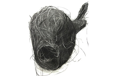 Bird's Nest III - Nature drawing, charcoal realism Singapore art class. Beautiful artwork by Singapore contemporary artist