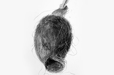 Bird's Nest XVIII - Nature drawing, realism in charcoal, Singapore art class. Beautiful artwork by Singapore contemporary artist