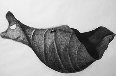 Leaf - realistic charcoal drawing by Singapore contemporary artist Karen