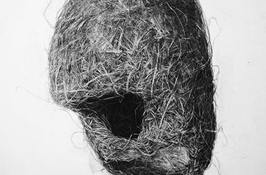 Bird Nest No.2 - Nature drawing, realism in charcoal, Singapore art class and art scene. Amazing artwork by Singapore contemporary artist