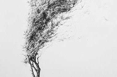 Tree No.5 by Singapore contemporary artist Liu Ling