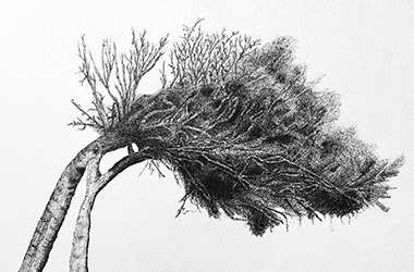 Humble Tree- Nature drawing, realism in pen drawing, Singapore art class. Beautiful artwork by Singapore contemporary artist
