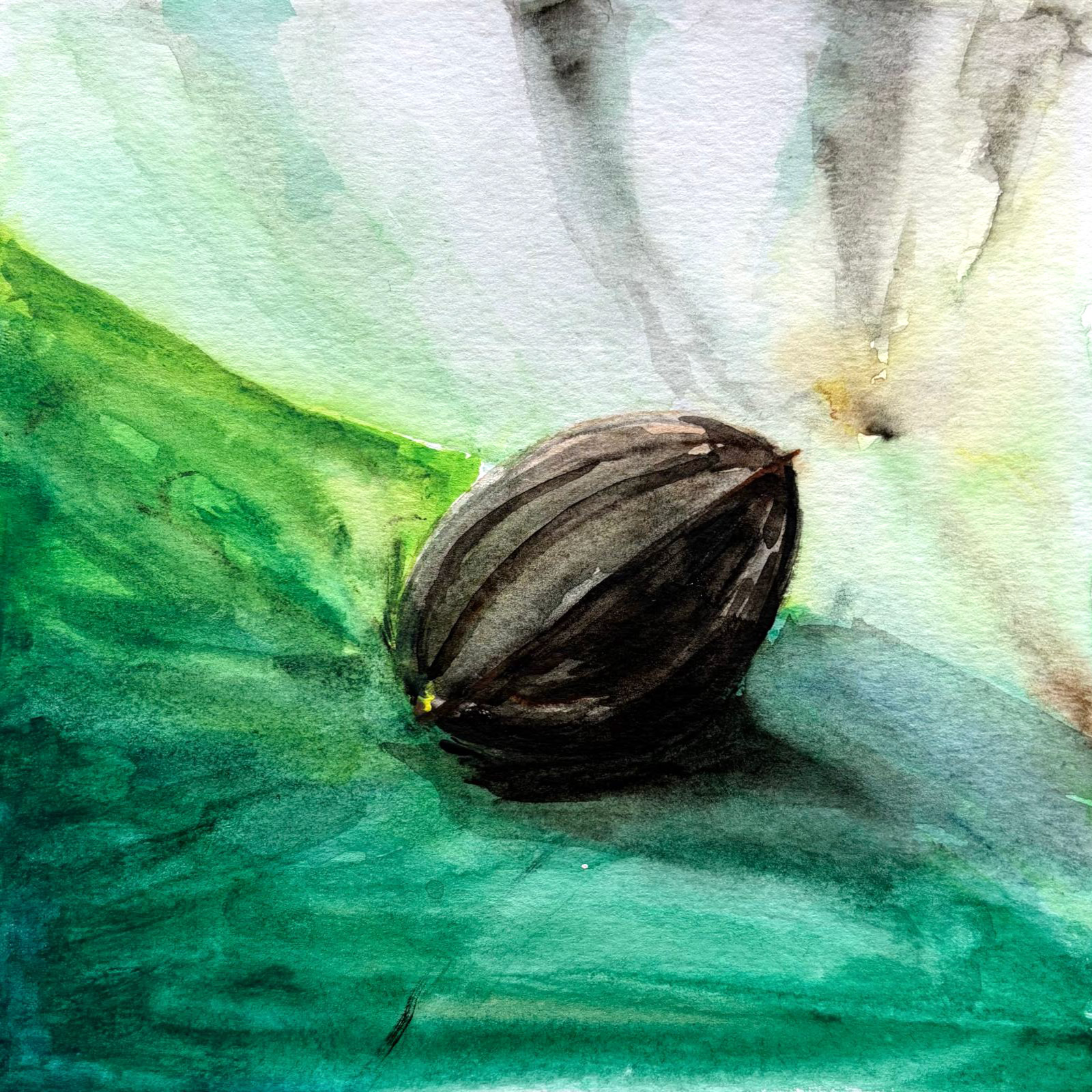 Origin — watercolour artwork by Abigail