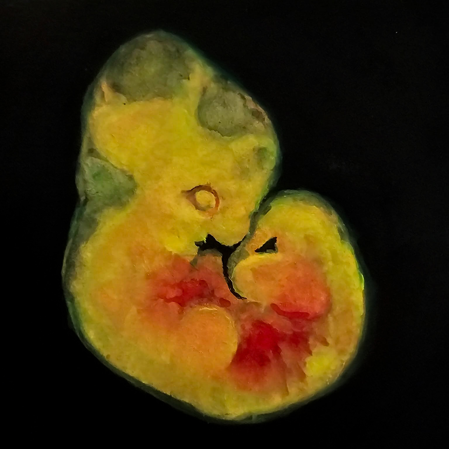 Origin — watercolour artwork by Cliff