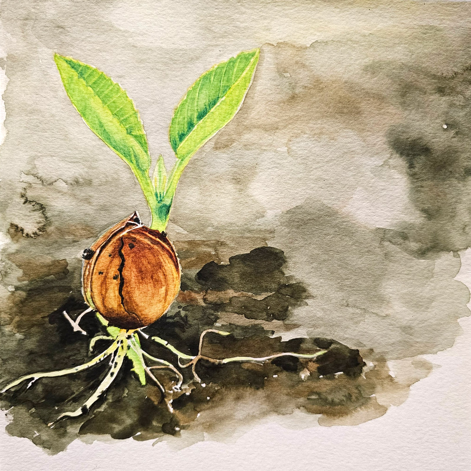 Origin — watercolour artwork by Lim Hong Meng