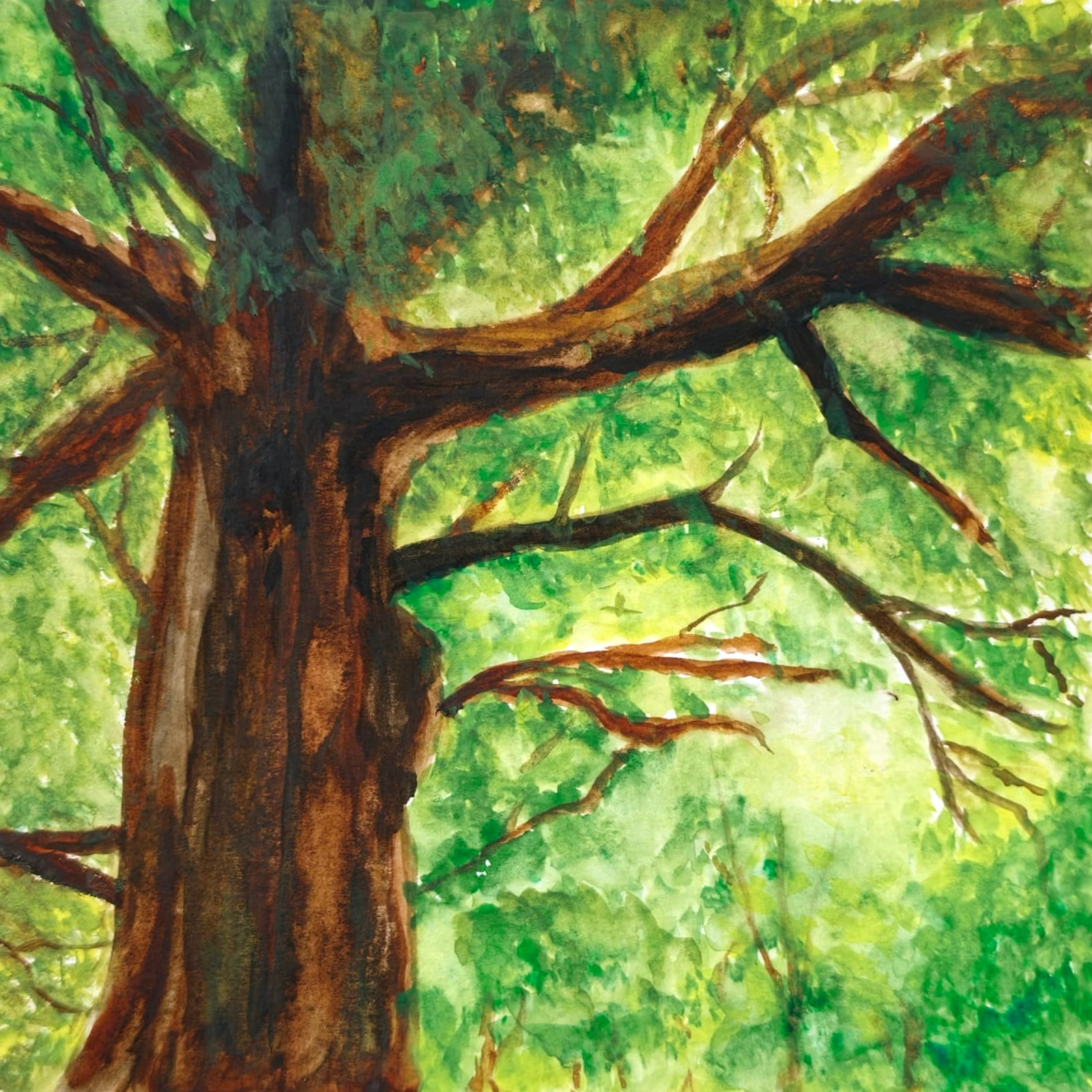 Origin — watercolour artwork by Mary Lee