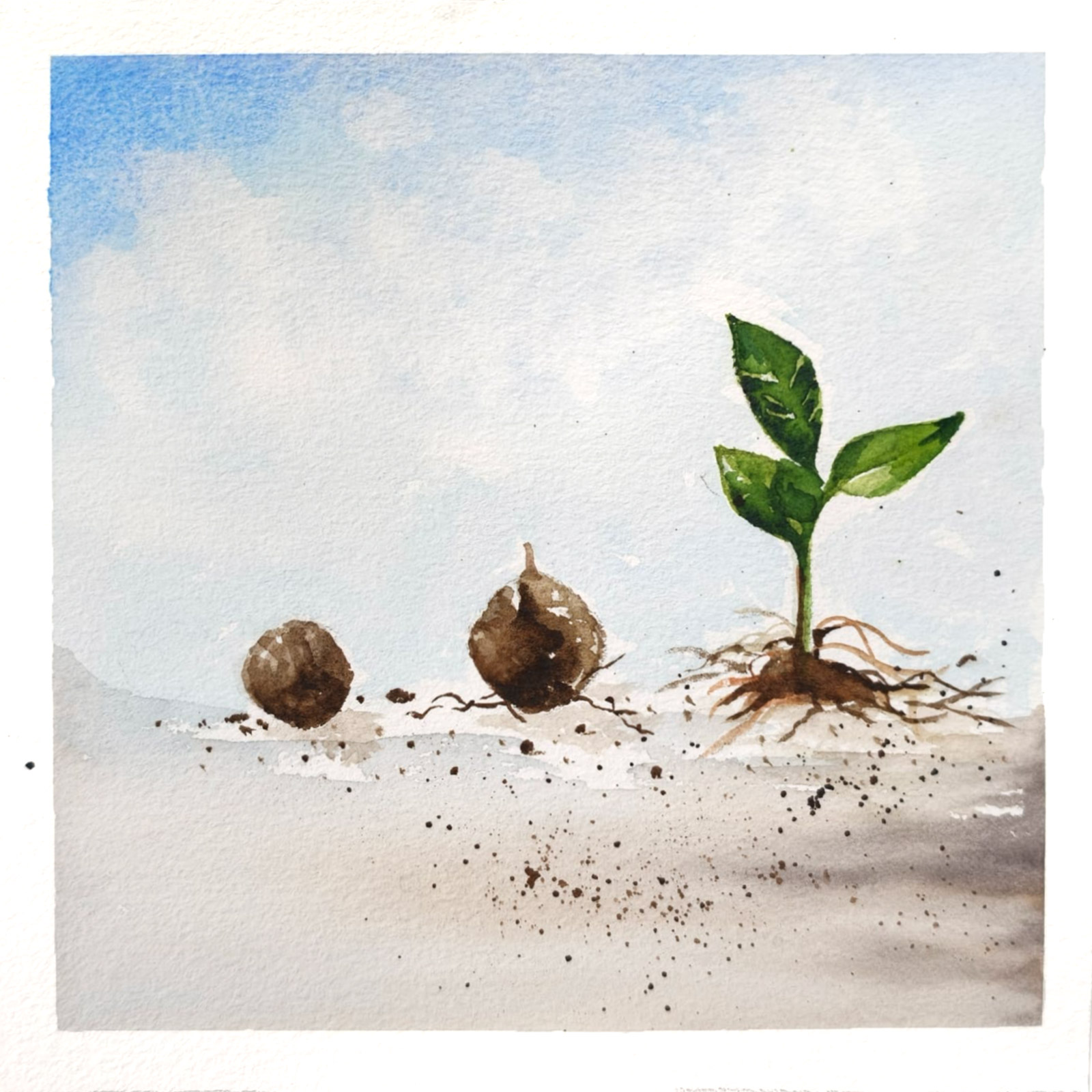 Origin — watercolour artwork by Teresa Yong