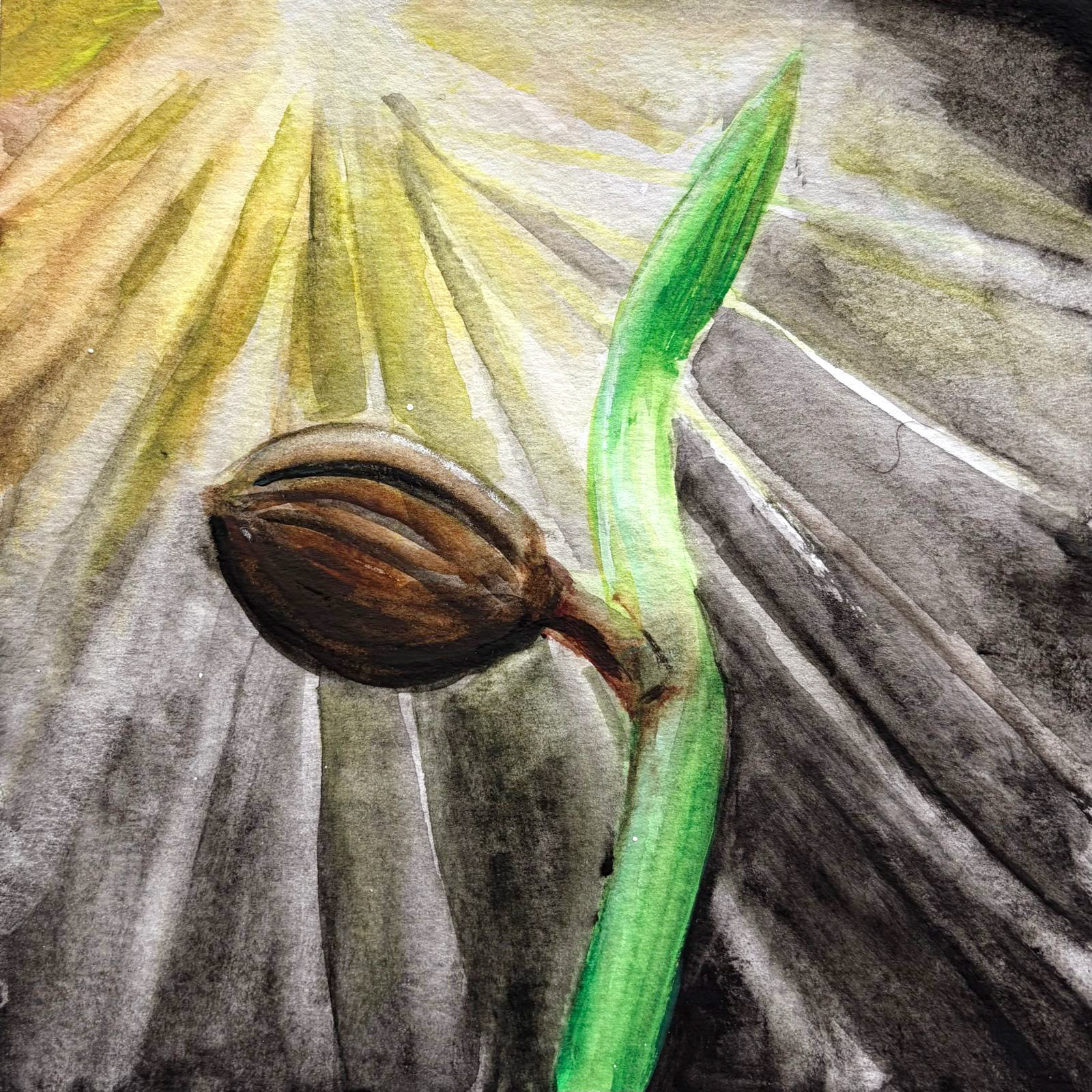 Light — watercolour artwork by Abigail