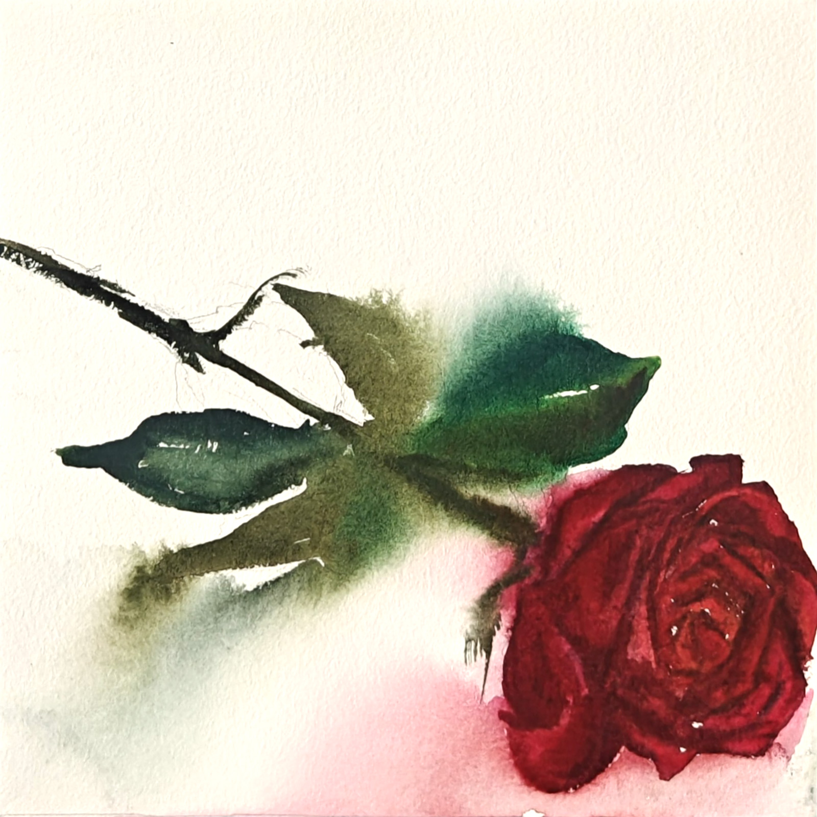 Soft — watercolour artwork by Ananya