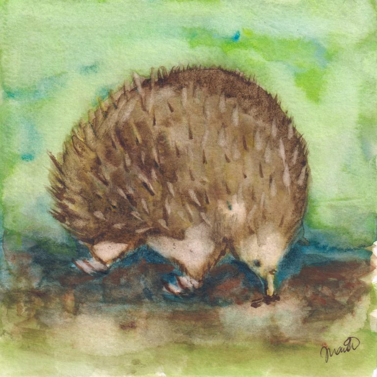 Soft — watercolour artwork by Juanita