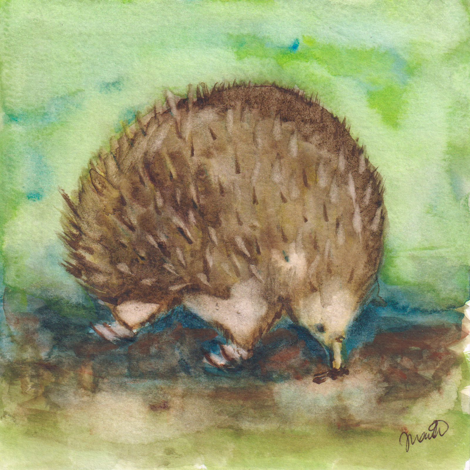 Soft — watercolour artwork by Juanita