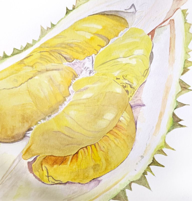 Soft — watercolour artwork by Lim Hong Meng