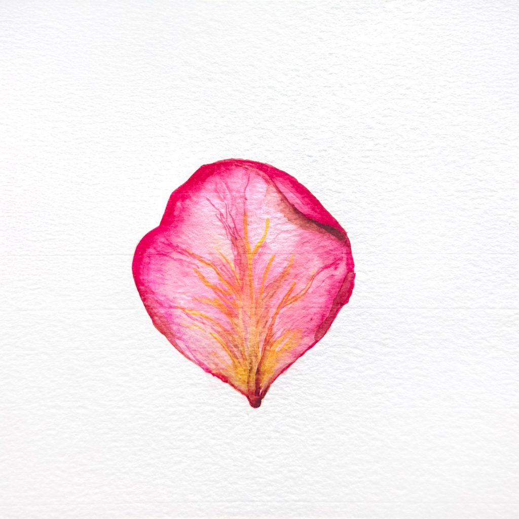 Soft by Lucretia