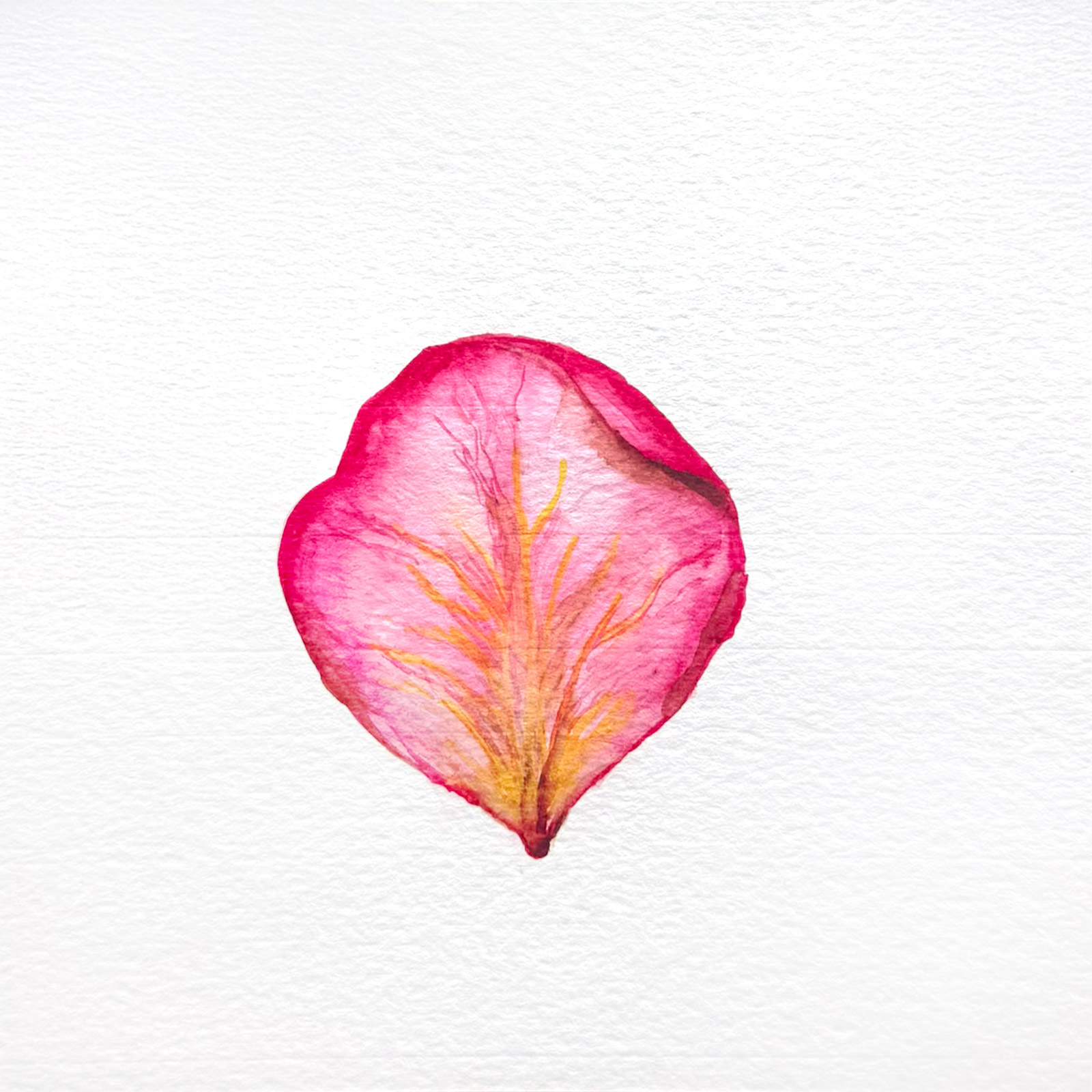 Soft — watercolour artwork by Lucretia