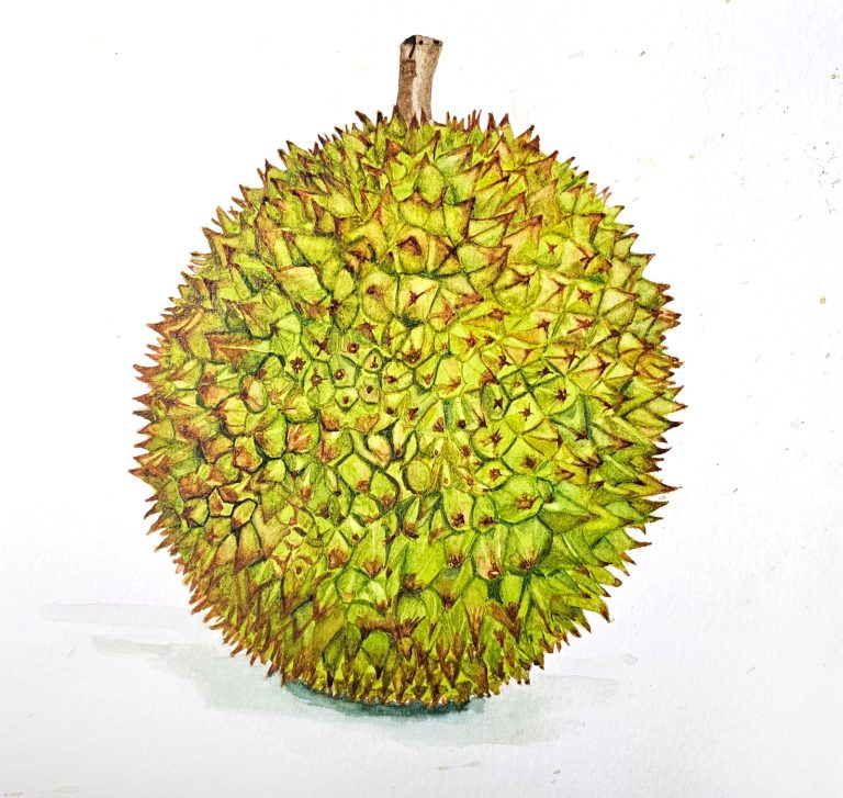 Hard — watercolour artwork by Lim Hong Meng