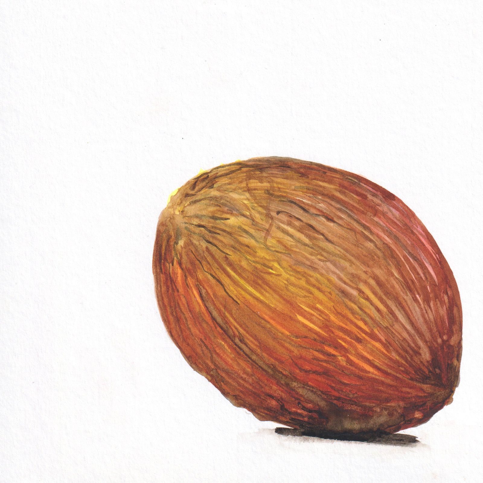 Hard — watercolour artwork by Lucretia