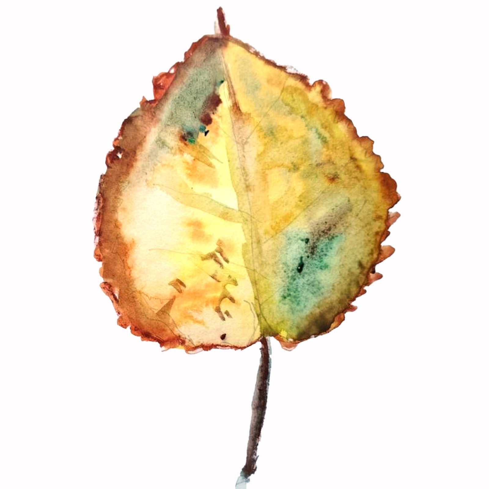 Still — watercolour artwork by Elaine