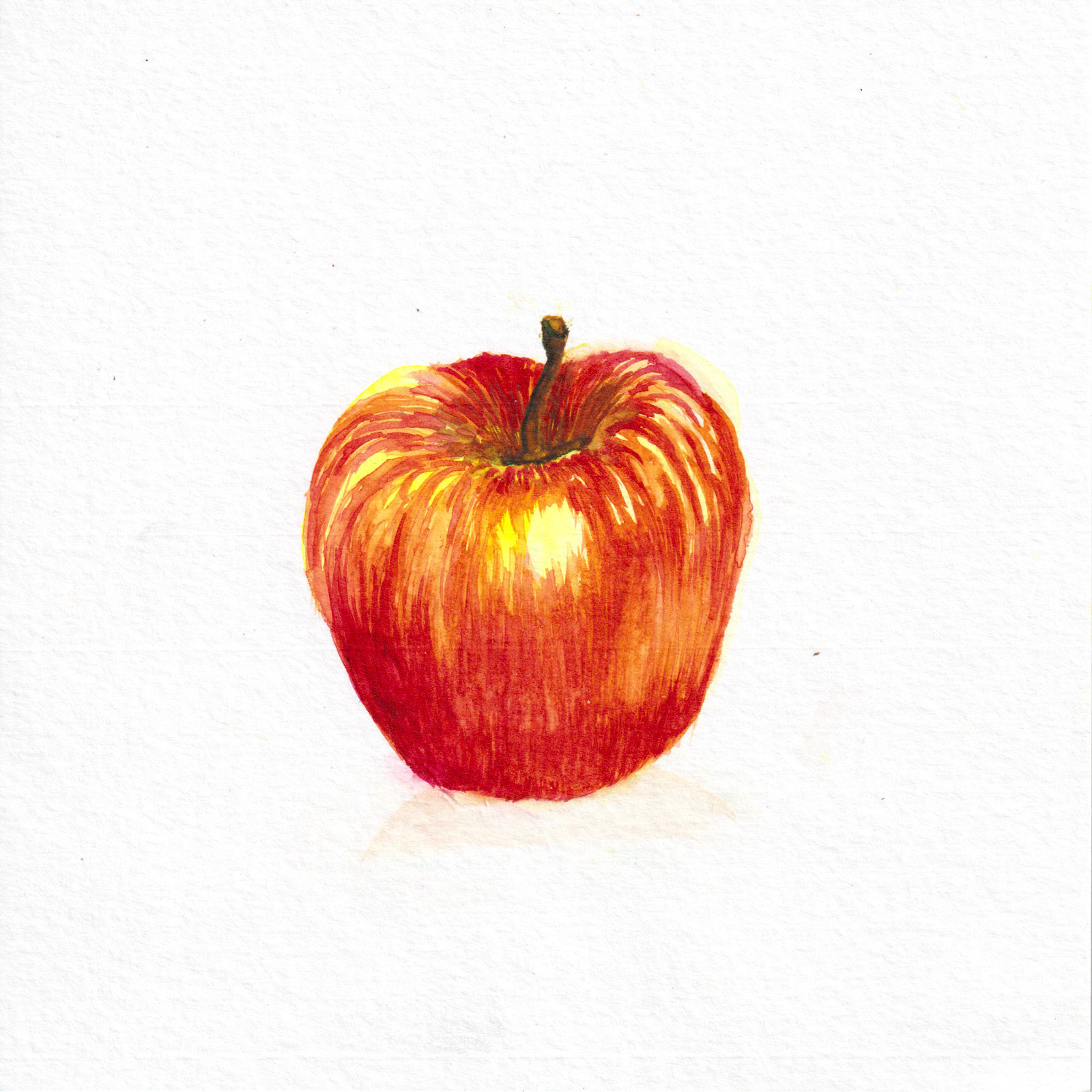 Still — watercolour artwork by Lucretia