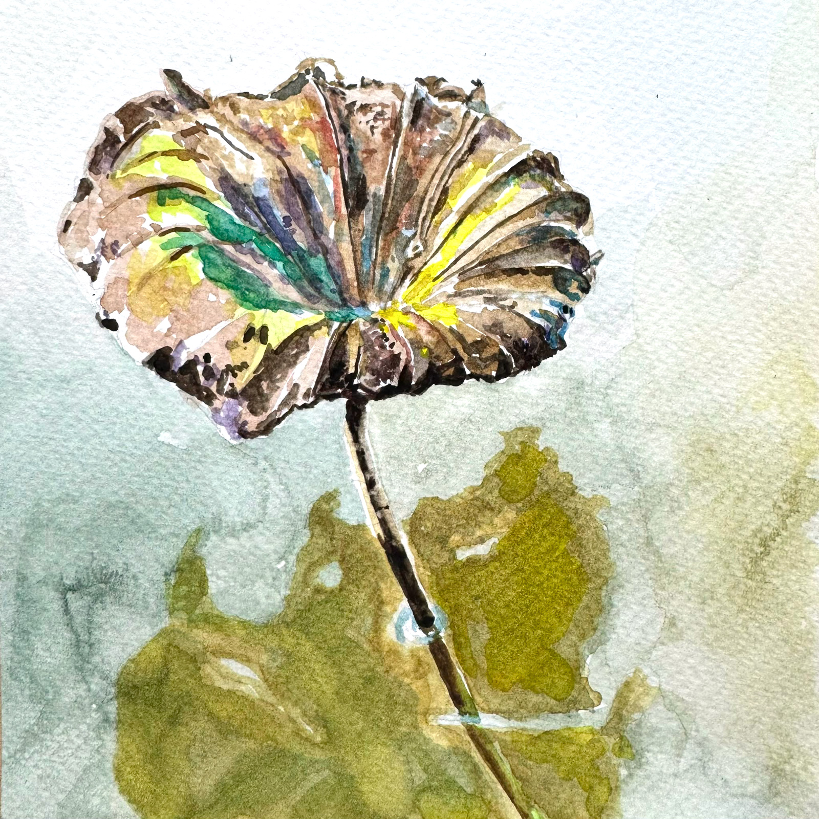 Reflect — watercolour artwork by Kua Ling