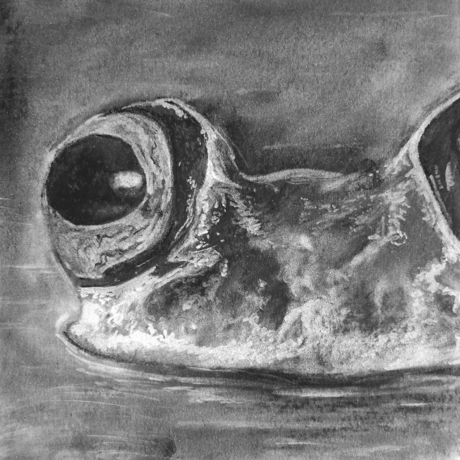 Depth — charcoal artwork by Myleene