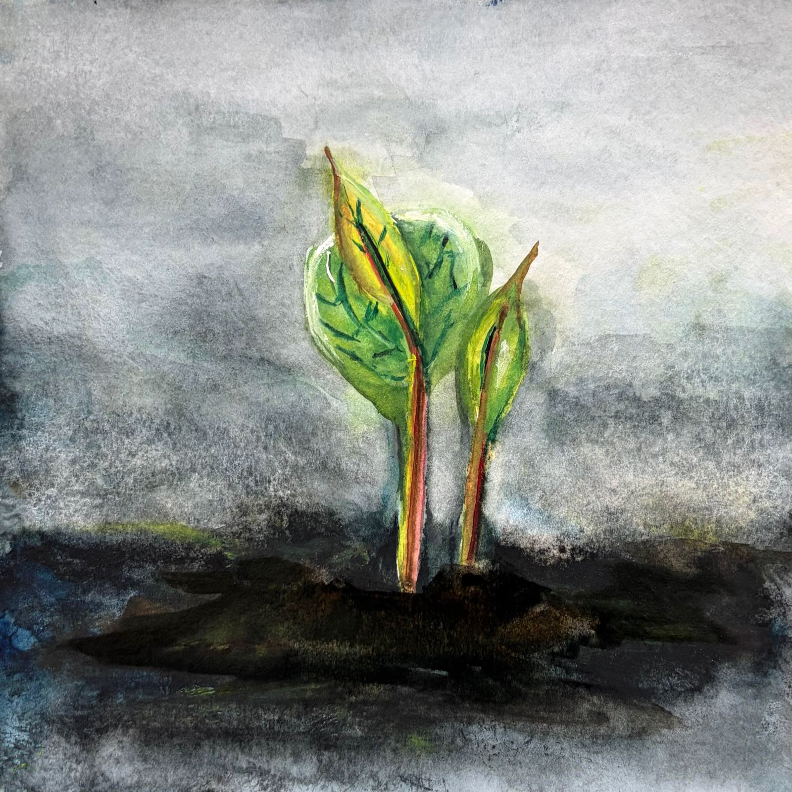 Growth — watercolour artwork by Abigail