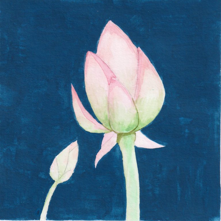 Growth — watercolour artwork by Barry