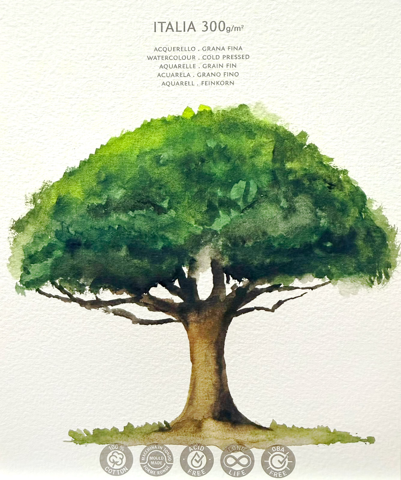 Growth — watercolour artwork by Joyce Sim