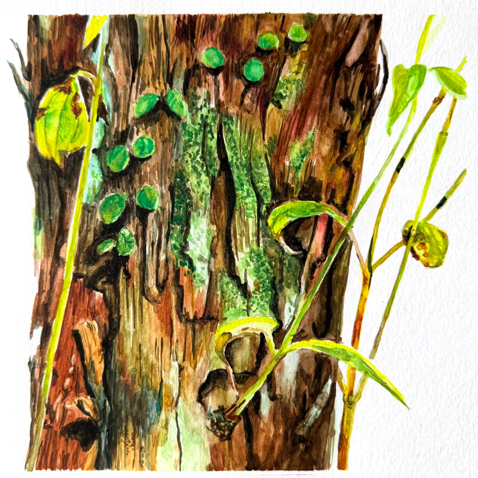 Growth — watercolour artwork by Kua Ling
