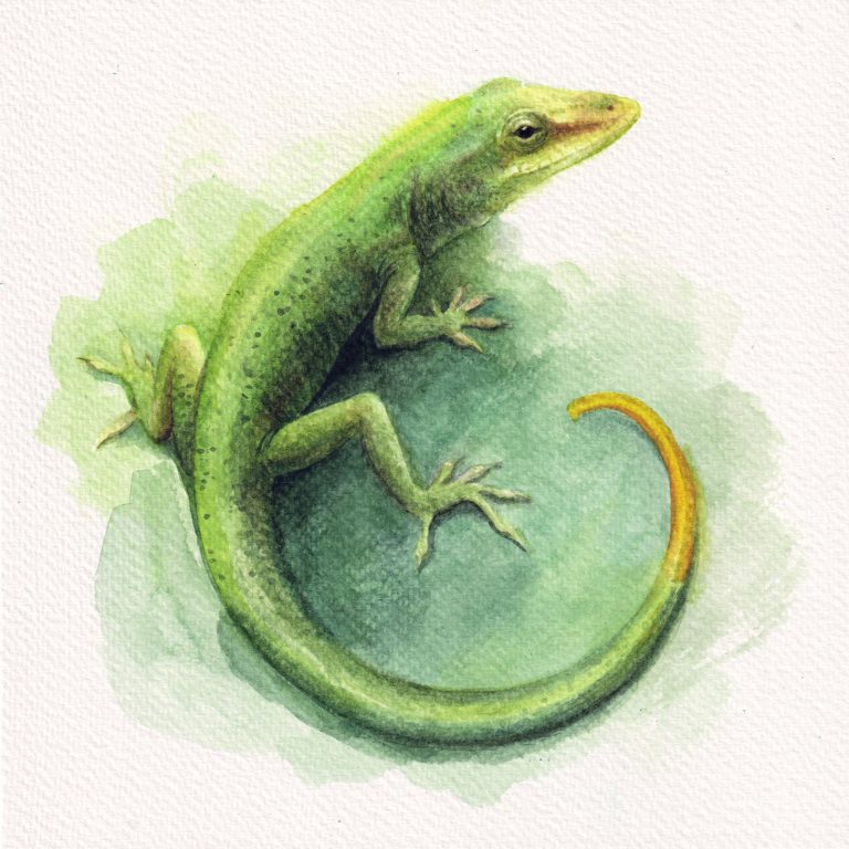 Growth — watercolour artwork by Liu Ling