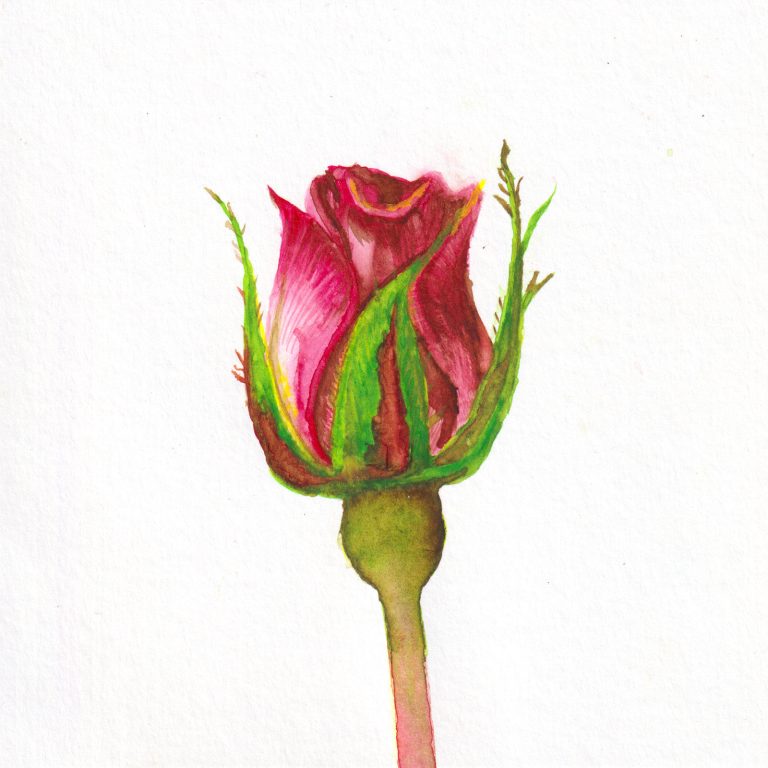 Growth — watercolour artwork by Lucretia