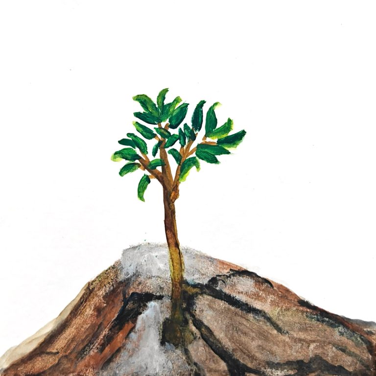 Growth — watercolour artwork by Mary Lee