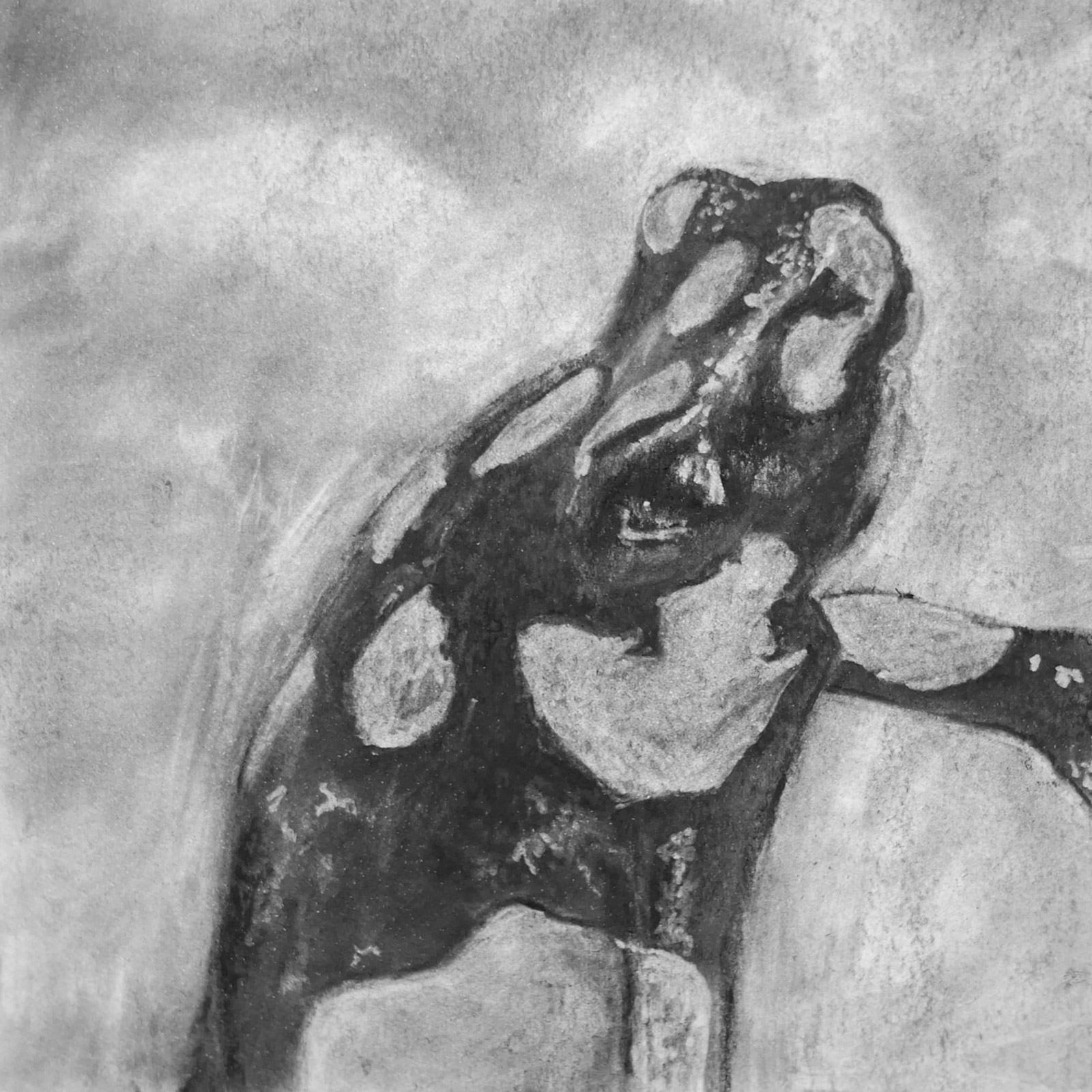 Growth — charcoal artwork by Myleene