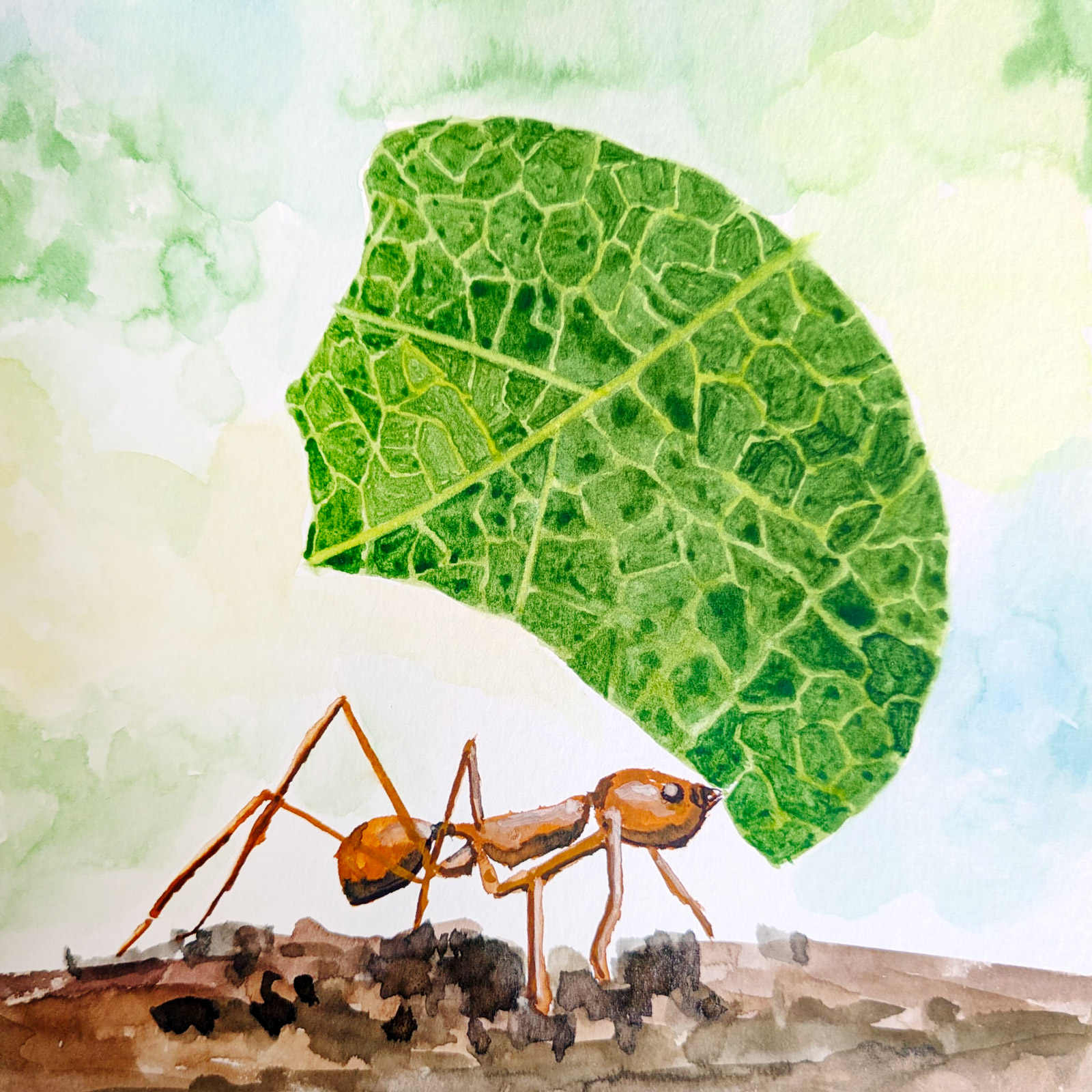 Weight — watercolour artwork by Kevin