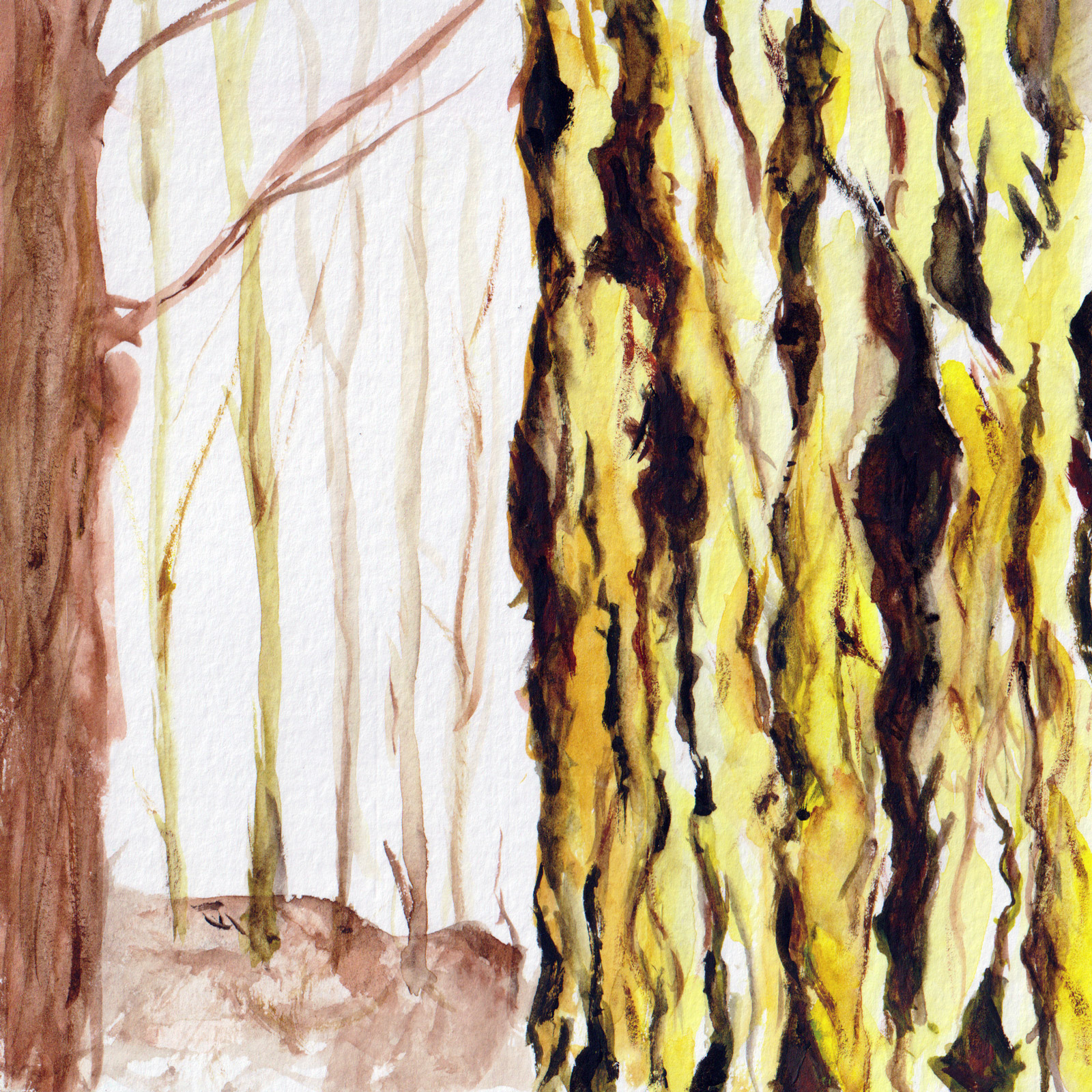 Rough — watercolour artwork by Khee