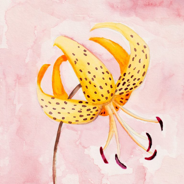 Warm — watercolour artwork by Barry