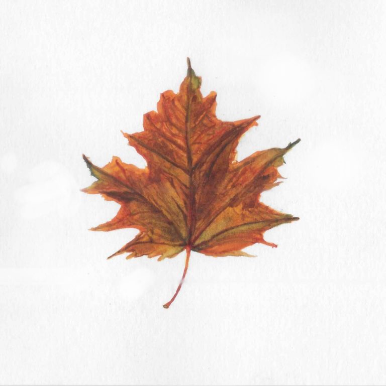 Warm — watercolour artwork by Lucretia
