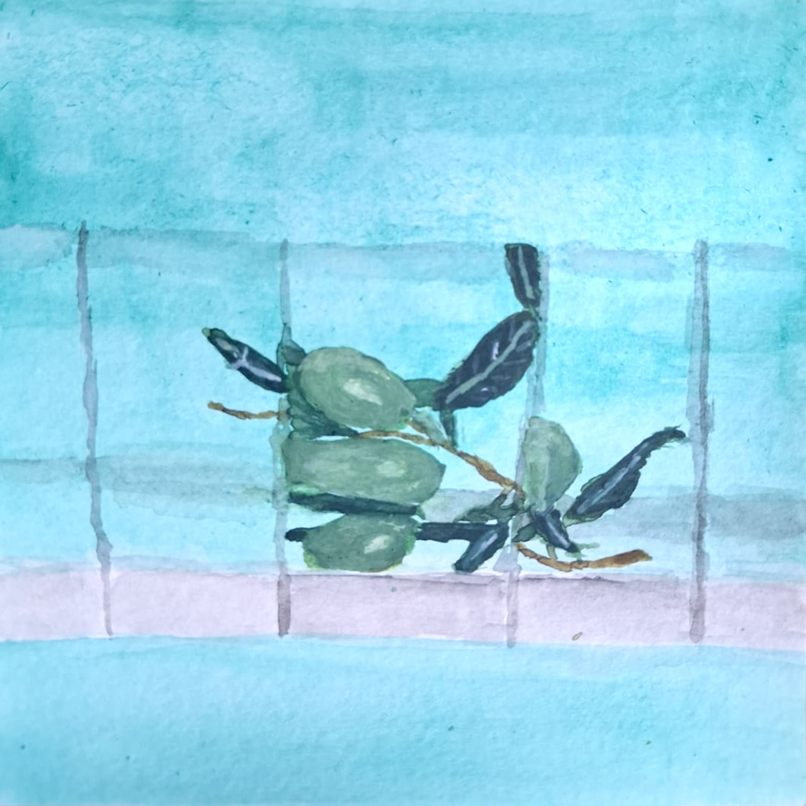 Cool — watercolour artwork by Henry
