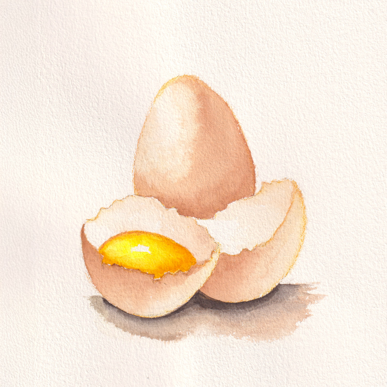 Fragile — watercolour artwork by Teresa Yong