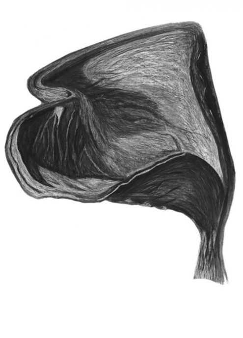 Organic IV