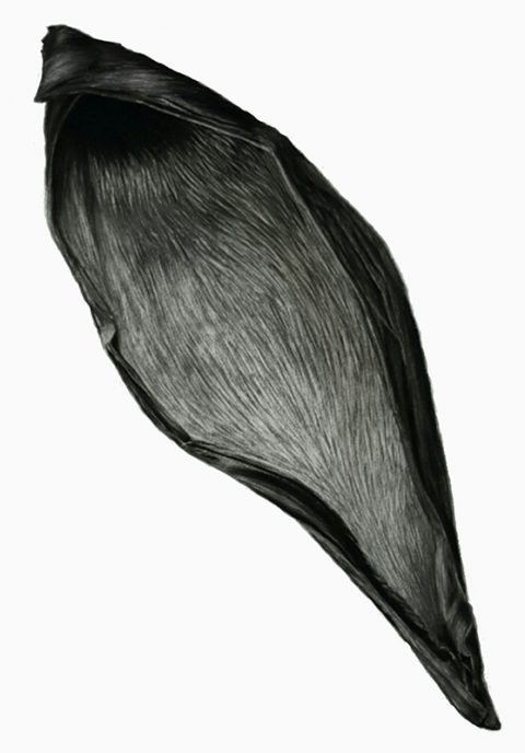 Charcoal on paper, 100 x 70 cm