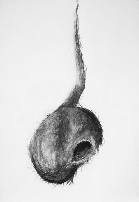 Charcoal on paper, 100 x 70 cm
