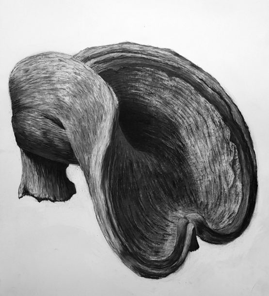Charcoal on paper, 100 x 70 cm