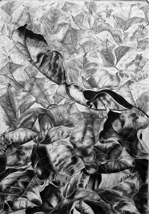 Charcoal on paper, 100 x 70 cm