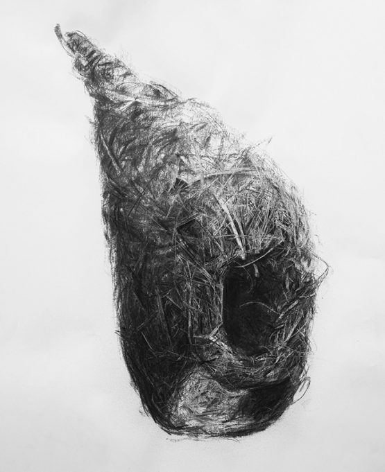 Charcoal on paper, 100 x 70 cm