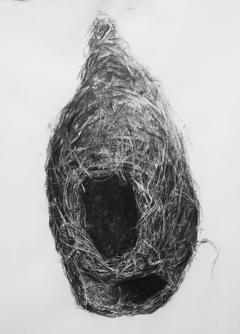 Charcoal on paper, 100 x 70 cm