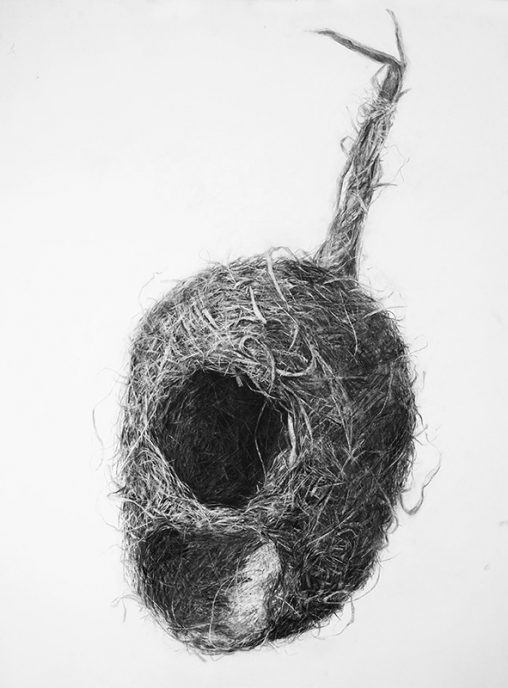 Charcoal on paper, 100 x 70 cm