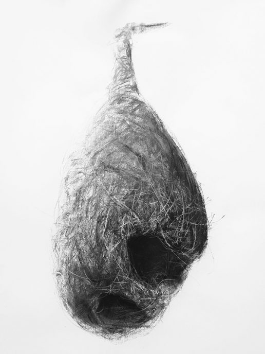 Charcoal on paper, 100 x 70 cm