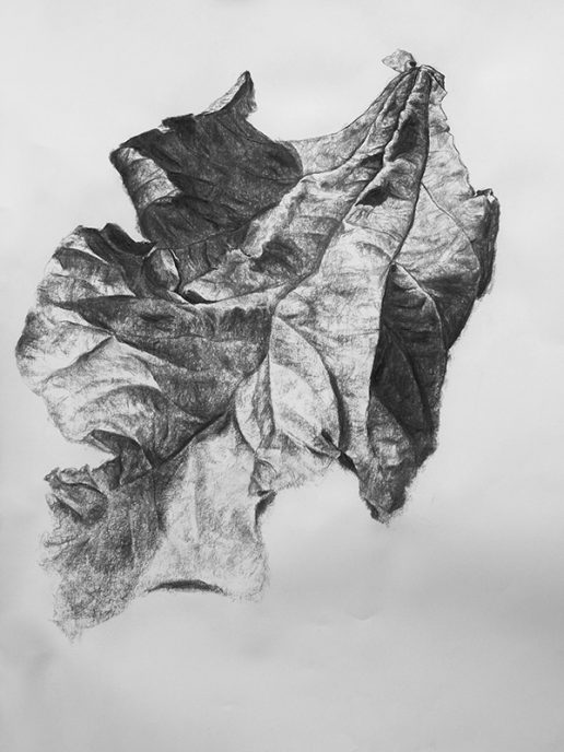 Charcoal on paper, 100 x 70 cm