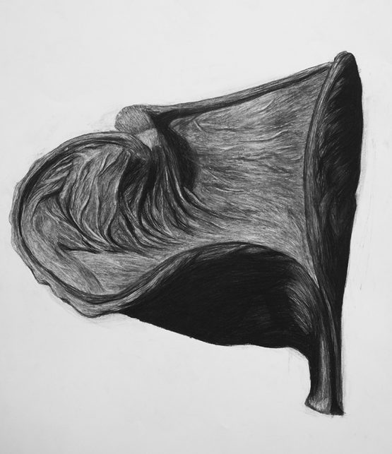 Charcoal on paper, 100 x 70 cm